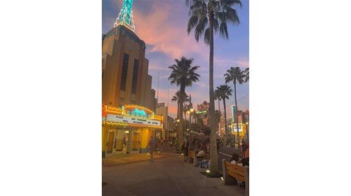The sunset on Sunset Boulevard is so dreamy!