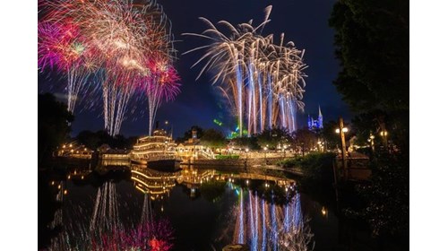 Fireworks over the Magic Kingdom in WDW!