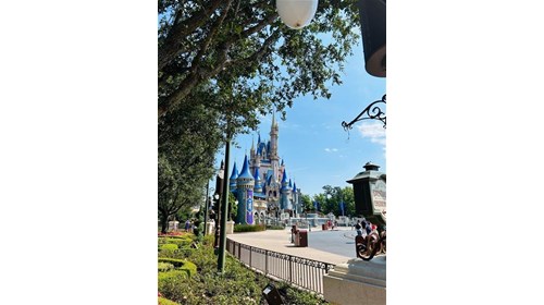 Walt Disney World