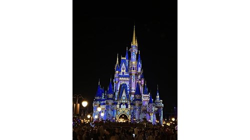 WDW Castle Nov 2024 