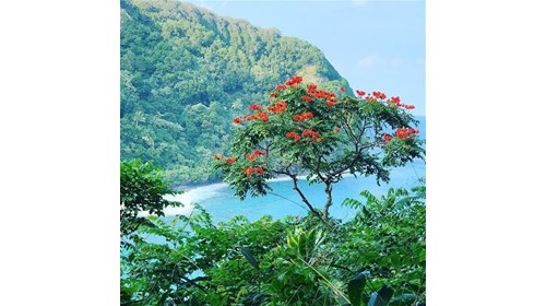 Road to Hana, Maui