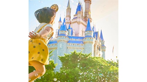 Walt Disney World