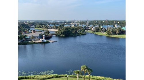 A beautiful view from Disney's Riviera Resort 