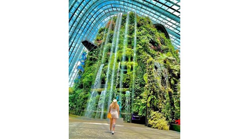 Singapore!! One of my all time favorites.