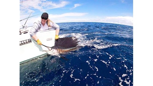 90-lb Sword fish caught in beautiful CR