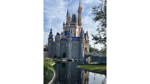 Walt Disney World