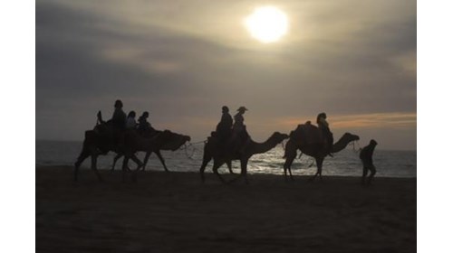 Oh, Cabo...Riding Camels & ATVs along the Pacific.
