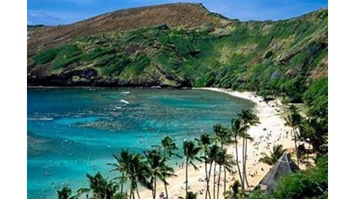 A Glimpse of Paradise in Oahu