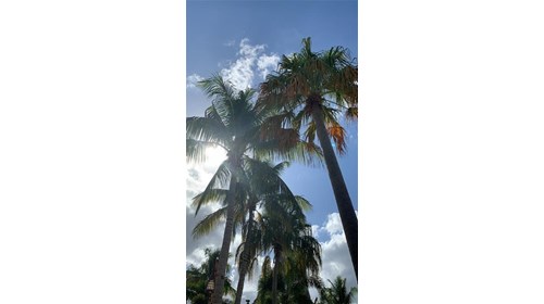 Volcano Bay