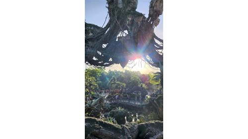 The sun over the breathtaking Pandora.