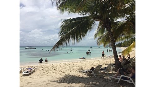 Saona Island - Dominican Republic