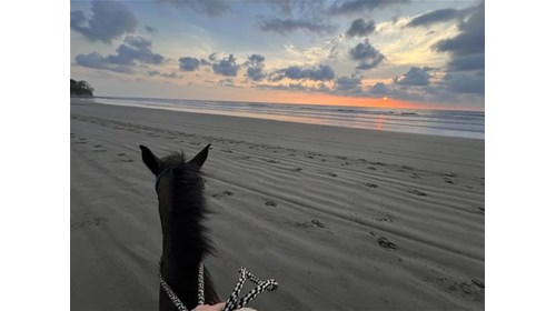 Family, Honeymoon, and Group Travel Specialist