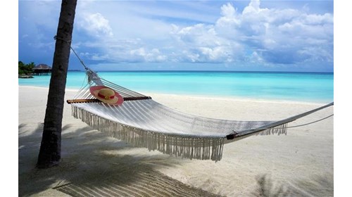 Refresh Rejuvenate Recharge