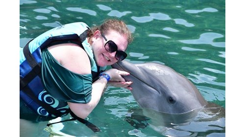 Caribbean Cruise Dolphin Adventure!