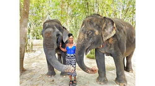 Hanging with these Gentle Giants in Thailand