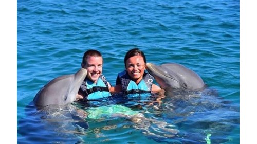 Swimming with the dolphins at Mahogany Bay
