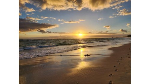 Beautiful sunrise in Puta Cana Dominican Republic