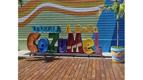 Cruise Port in Cozumel