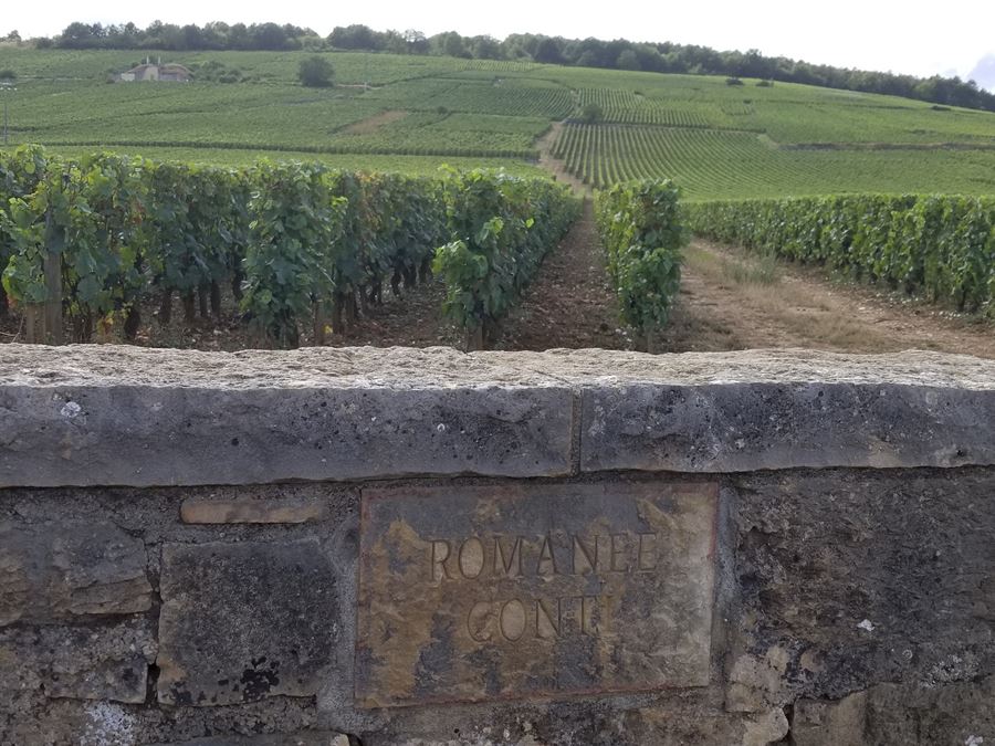 Romanee Conti vineyard