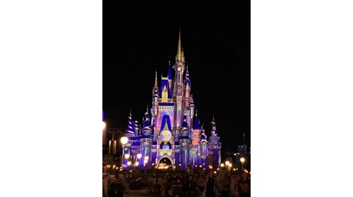 Cinderella Castle at night
