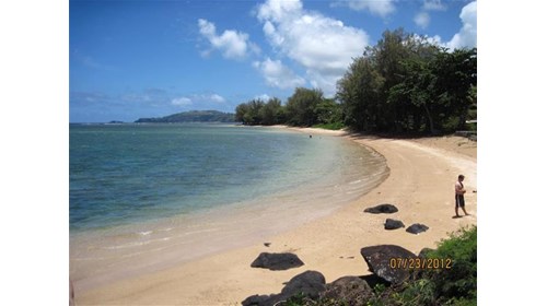 Hawaiian Beach