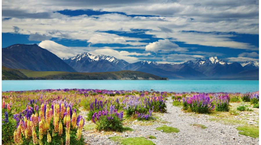 A 2-Week Adventure Travel Across New Zealand