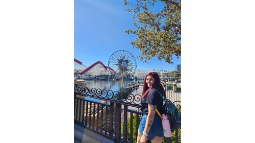 Disneyland - California Adventure