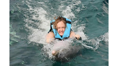 Cozumel-Swimming with the Dolphins