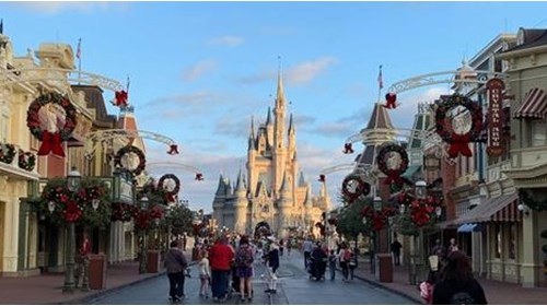 Travel Agent specializing in Disney,Sandals & more
