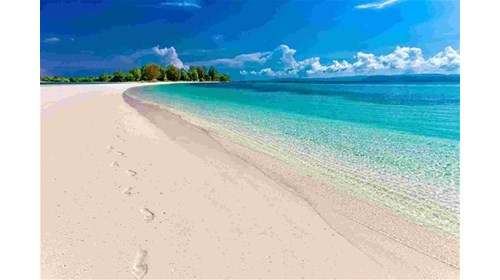 white sandy beach photo