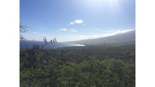 incredible views from the road to Hana. 