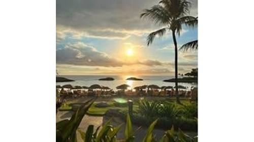 Disney Travel and Family Vacation Specialist