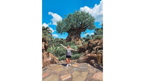 Animal Kingdom magic at the Tree of Life