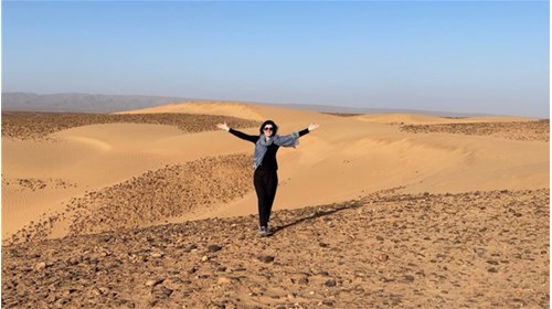Moroccan Sahara Desert (Erg Chigaga dunes)