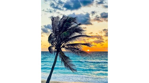 Beautiful Caribbean Sunset