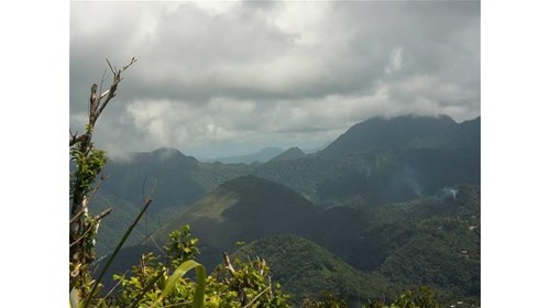 St. Lucia Destination Specialist