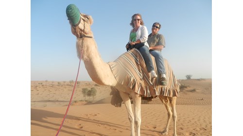 Riding a camel at sunset in the UAE.