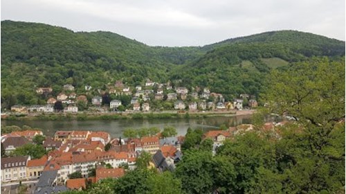 A view of the Neckar River from Heidelberg Castle.