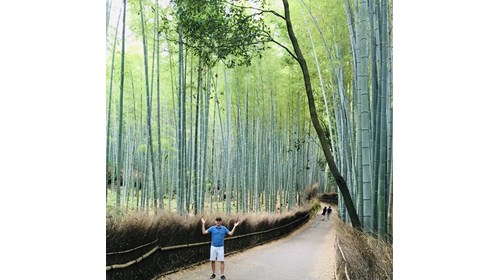Arashiyama Bamboo Forest, Kyoto, Japan - May 2016