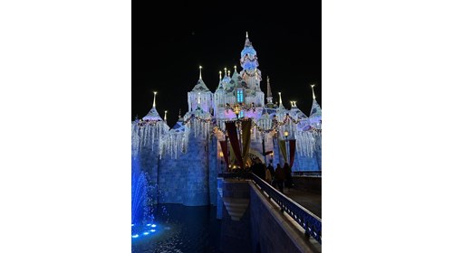 The Happiest Place on Earth