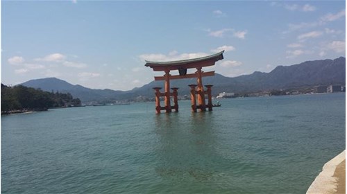 Japan Specialist