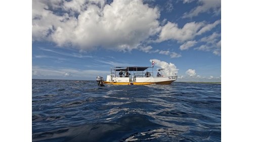 Aventura de buceo en Playa del Carmen