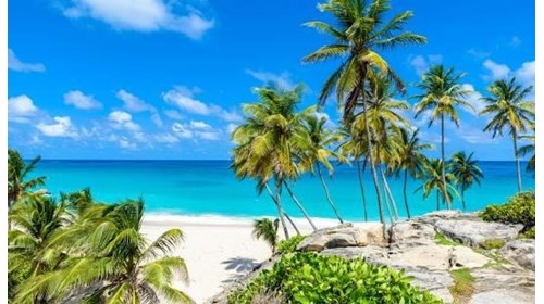 The Caribbean