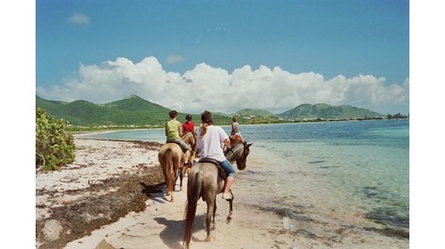 Horseback beach ride in St. Maarten