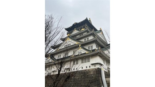 Osaka's Castle