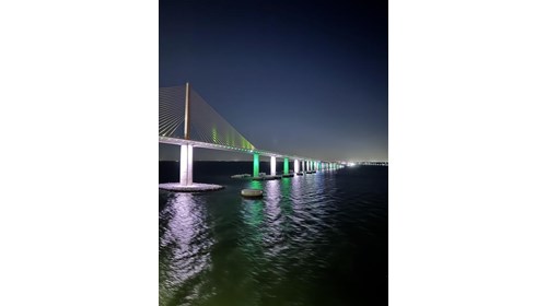 Skyway Bridge 