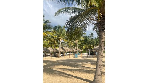 Live Aqua Punta Cana beach view
