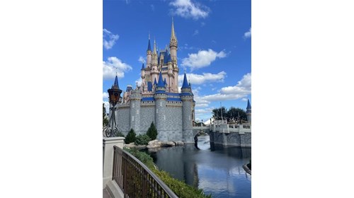 Walt Disney World