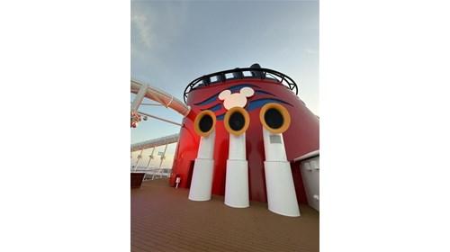 The Disney Treasure
