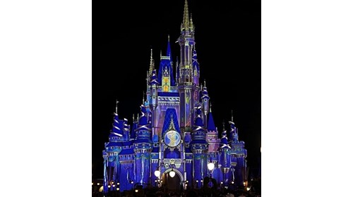 The Most Magical Place on Earth